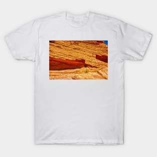 Valley of Fire State Park T-Shirt